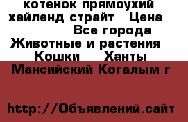 котенок прямоухий  хайленд страйт › Цена ­ 10 000 - Все города Животные и растения » Кошки   . Ханты-Мансийский,Когалым г.